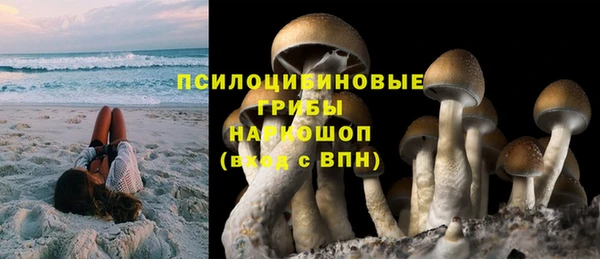 не бодяженный Волоколамск